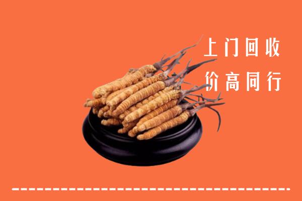 高价求购：曲阳县回收散虫草