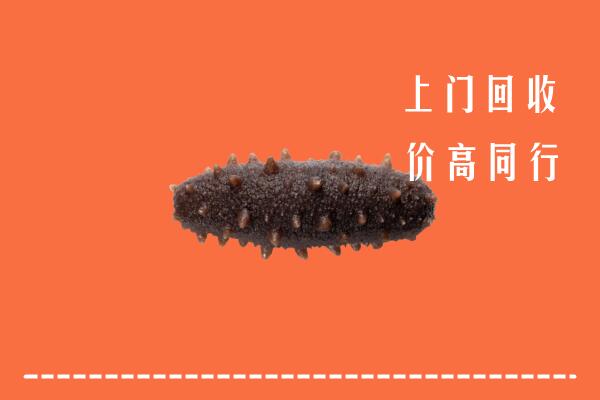 曲阳县回收海参