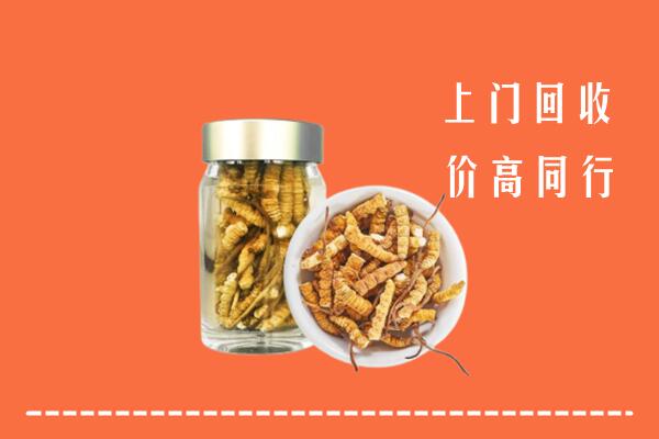 曲阳县回收冬虫夏草