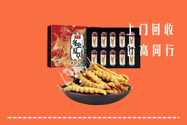 曲阳县回收虫草